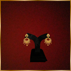 Charming Earrings